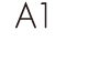 A1