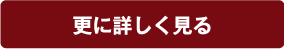 更に詳しく見る