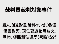 ・裁判員裁判対象事件（殺人、強盗致傷、強制わいせつ致傷、現住建造物等放火、覚せい剤取締法違反など）