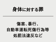 ・身体に対する罪（傷害、暴行、自動車運転死傷行為処罰法違反など）