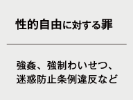 ・性的自由に対する罪（強姦、強制わいせつ、迷惑防止条例違反など）