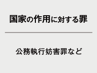 ・国家の作用に対する罪 （公務執行妨害罪など）