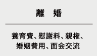 ・離婚（養育費、慰謝料、親権、婚姻費用、面会交流）